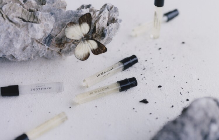 Cologne Discovery Collection