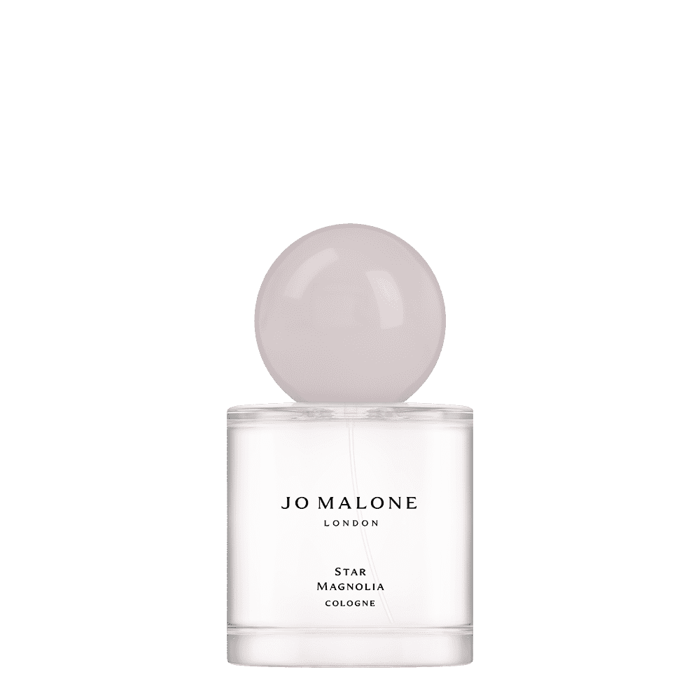 Star Magnolia Cologne